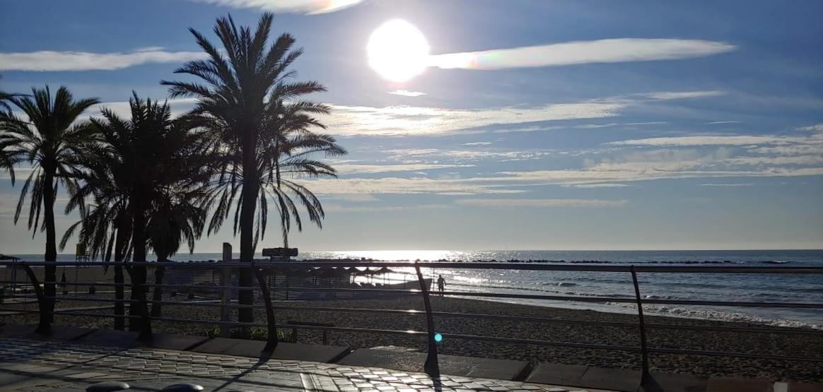 La Luna Blanca توريمولينوس المظهر الخارجي الصورة